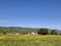 去掉濾鏡的新疆旅行——第十天