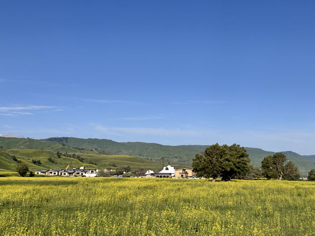 去掉濾鏡的新疆旅行——第十天 去掉濾鏡的新疆旅行——第十天