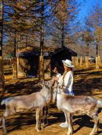 宜興這的秋天 建議去這裡