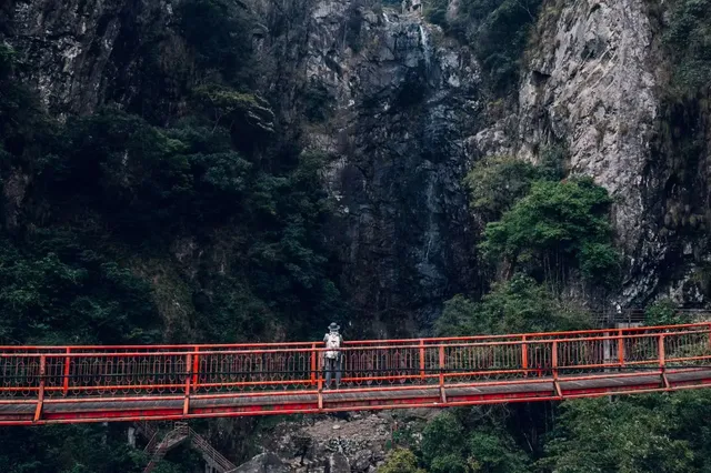 旗山森林公園徒步偶遇猴哥!20km古道+網紅 旗山森林公園徒步偶遇猴哥!20km古道+網紅