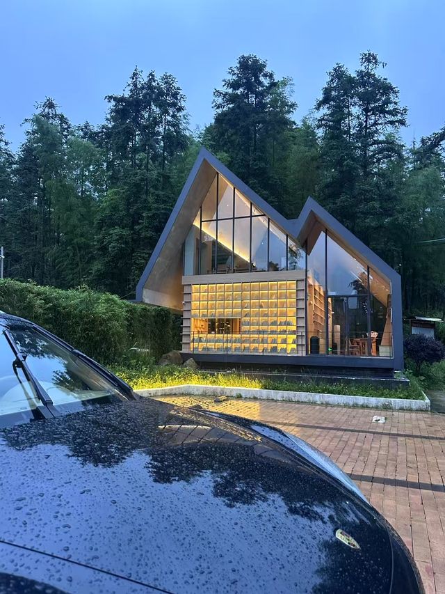 嶺南深秋別錯過！南崑竹海秘境慢享秋光