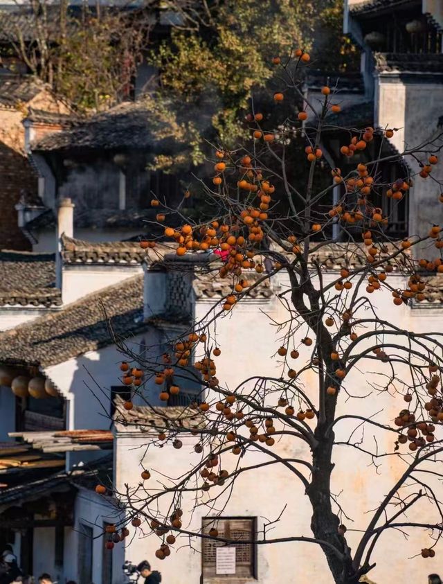 江西福地限定美景，我的心歸處！