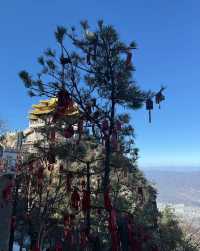 金頂映雲海，仙山藏道心——老君山邀你赴一場天地之約