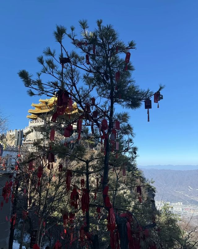 金頂映雲海，仙山藏道心——老君山邀你赴一場天地之約
