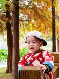 德陽東湖山水杉黃綠漸變美成莫奈畫!