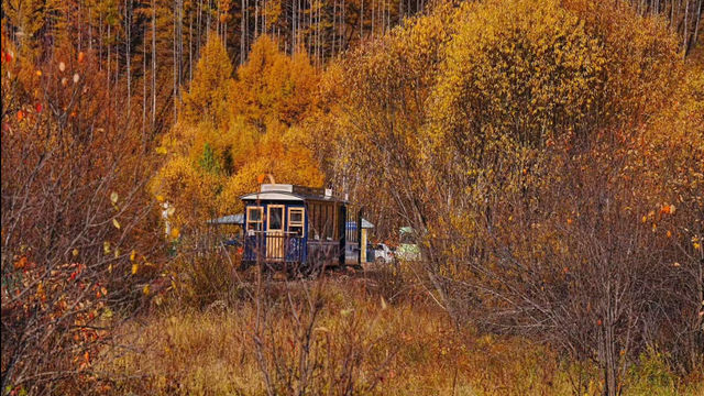 額爾古納河絕美秋景自駕攻略油畫般的金色童話世界 額爾古納河絕美秋景自駕攻略油畫般的金色童話世界