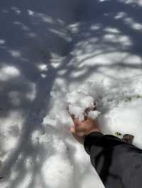 神農架 / 板壁岩