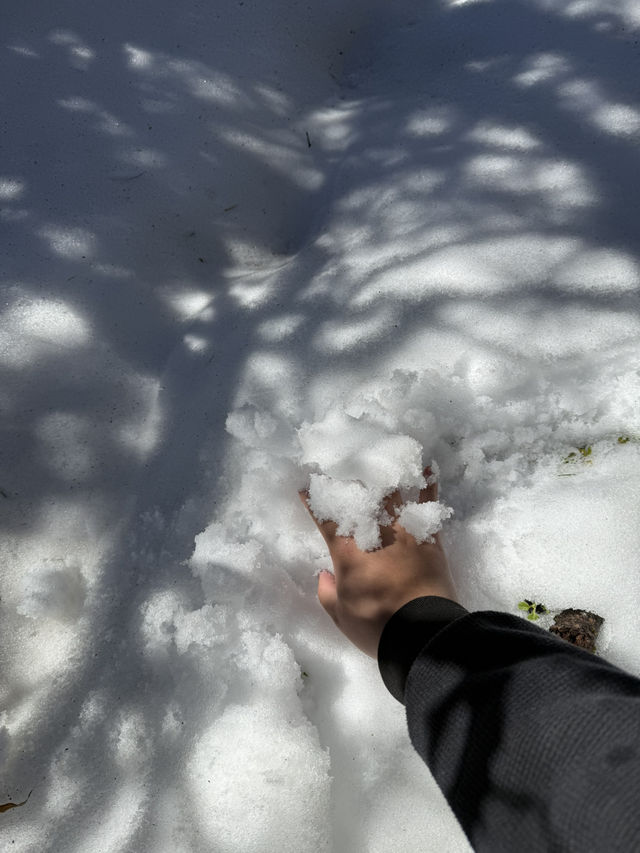 神農架 / 板壁岩 神農架 / 板壁岩