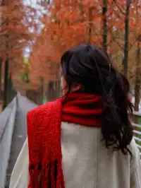 落羽杉紅啦！週末逛個公園也能拍秋日大片！