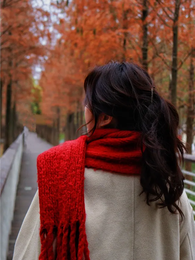 落羽杉紅啦！週末逛個公園也能拍秋日大片！