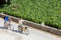 穿行阿爾布費拉自然公園，遇見自然本真