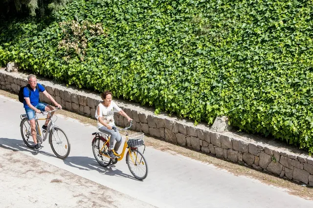 穿行阿爾布費拉自然公園，遇見自然本真