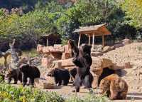 帶娃衝太湖龍之夢！2天1夜超爽