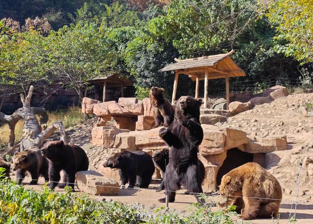 帶娃衝太湖龍之夢！2天1夜超爽