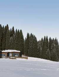 庫爾德寧自駕全攻略