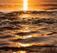 11月老牛灣,黃河峽谷的初冬私語