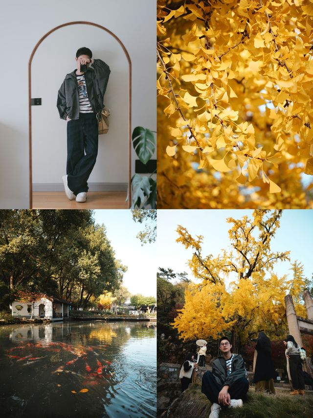 松下S9超絕濾鏡|亭林園銀杏簡直不要太出片 松下S9超絕濾鏡|亭林園銀杏簡直不要太出片