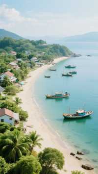 蘇梅島潛水，與魔鬼魚共舞！