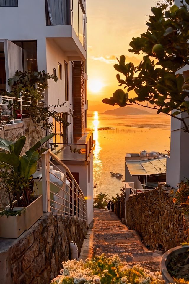 人回來了，心還在霞浦