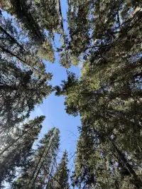 長坪溝美哭！雪山草甸徒步真的太治癒