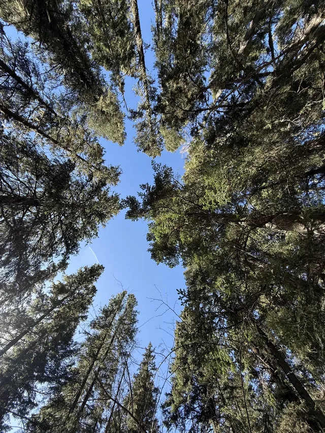 長坪溝美哭！雪山草甸徒步真的太治癒