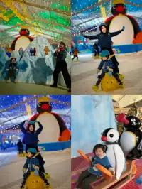 拜見 Pingu大王一起去極光冒險島