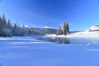 辜負故園梅樹好 南枝開放北枝寒