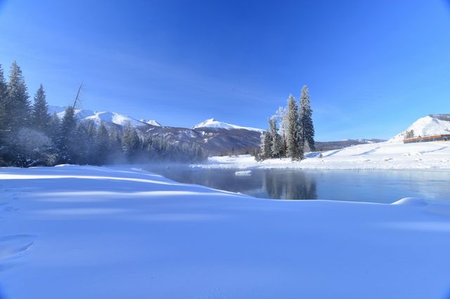 辜負故園梅樹好 南枝開放北枝寒 辜負故園梅樹好 南枝開放北枝寒