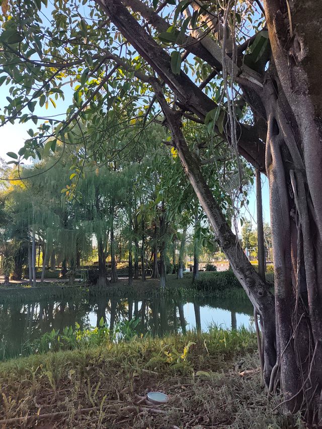 深秋漫步普洱,邂逅人間絕美湖畔秘境 深秋漫步普洱,邂逅人間絕美湖畔秘境