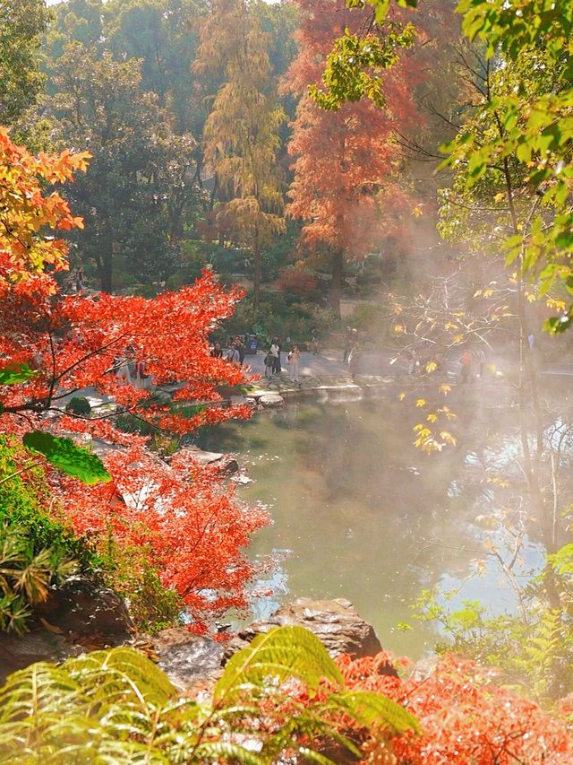 秋日魔都光影秘境