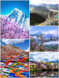 西藏林芝深度遊:邂逅雪山桃花與森林的浪漫