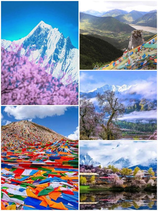 西藏林芝深度遊:邂逅雪山桃花與森林的浪漫 西藏林芝深度遊:邂逅雪山桃花與森林的浪漫
