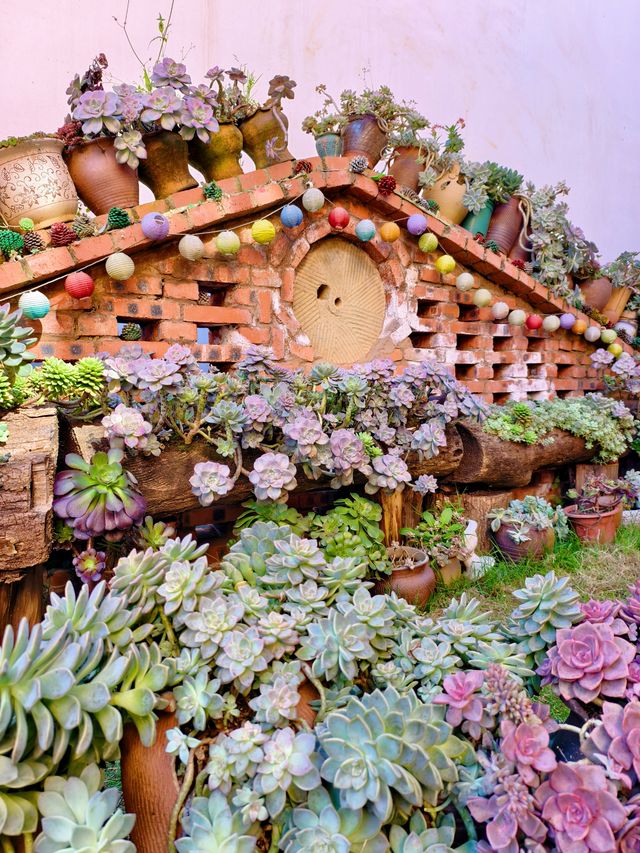 在曲靖挖到寶藏旅居地，馬龍土瓜沖把雲南生活過成詩