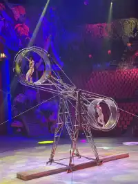 上海野生動物園最全帶娃攻略