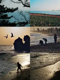 大連兩日一夜悠閒遊