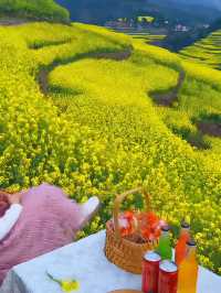 油菜花海拍照指南