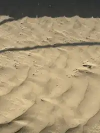 莫高窟｜來自西北的古老文明