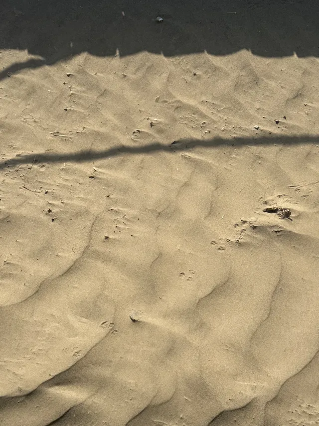 莫高窟｜來自西北的古老文明