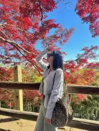 莫干山蔣公古道 請大膽浪費時間給秋天