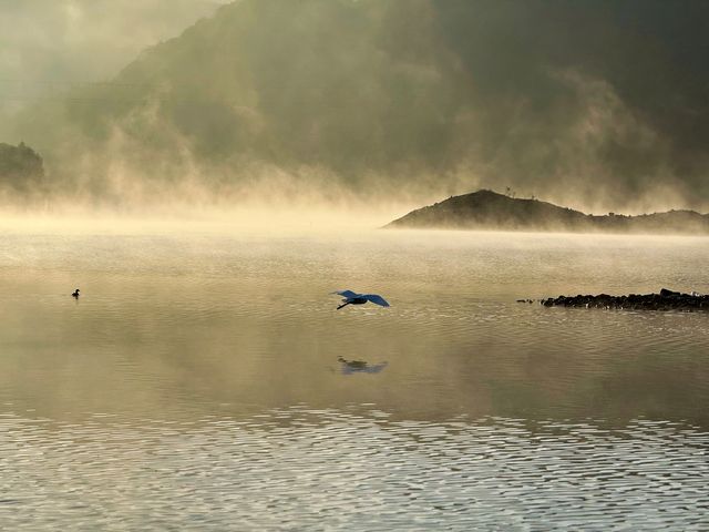 皖南川藏線核心住宿攻略:為什麼資深玩家都選擇在板橋村停留 皖南川藏線核心住宿攻略:為什麼資深玩家都選擇在板橋村停留