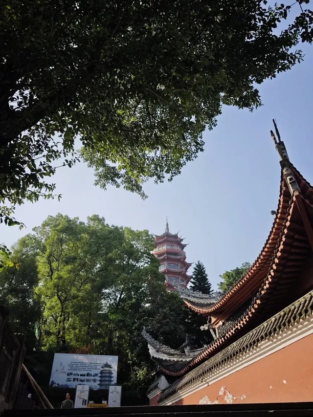 重慶寶藏地，0元闖進秋日禪意天堂