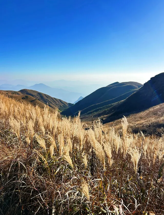武漢出發武功山兩天一晚｜跟團遊旅行攻略