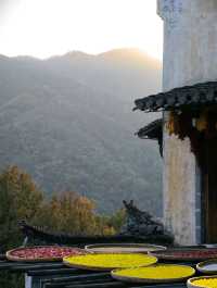 別傻逛篁嶺了！沒聽過這個故事等於白來！