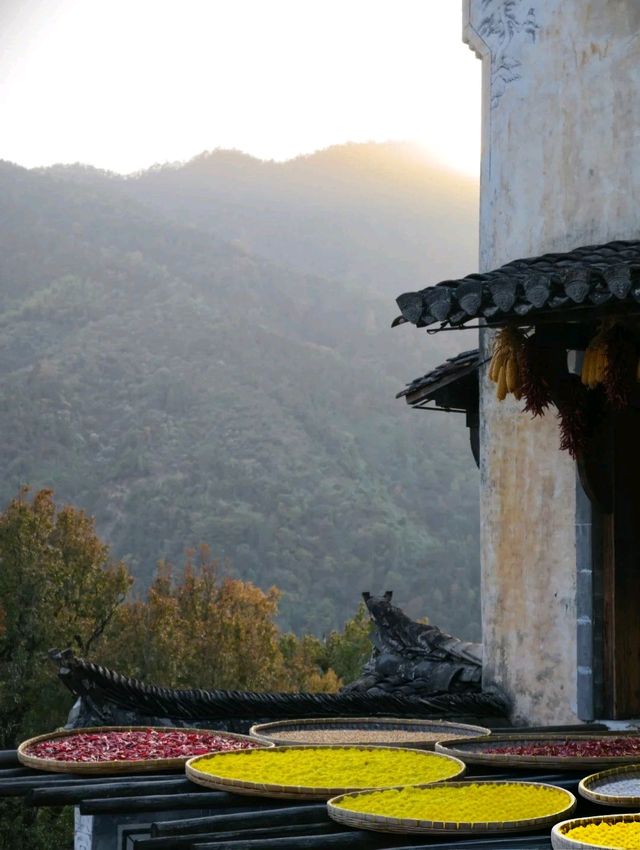 別傻逛篁嶺了！沒聽過這個故事等於白來！