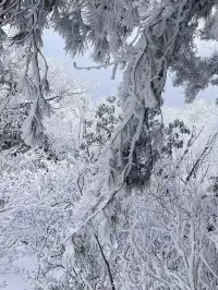 去了郴州3次,莽山看雪就應該這麼玩!!