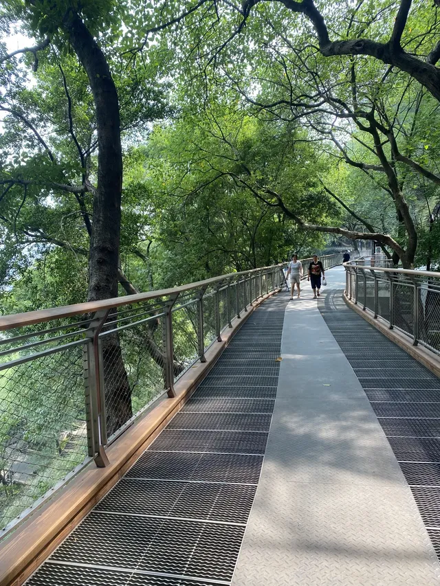 半山崖線鵝嶺棧道鵝嶺公園一站遊玩攻略