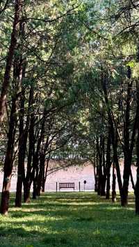 帝都3天2夜窮遊攻略｜人均2k玩轉環球故宮