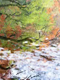 南京2天1晚 丨超詳細賞秋寶藏路線