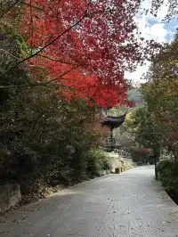 12.4西溪谷漫遊道5km徒步|路線+出片點+tips