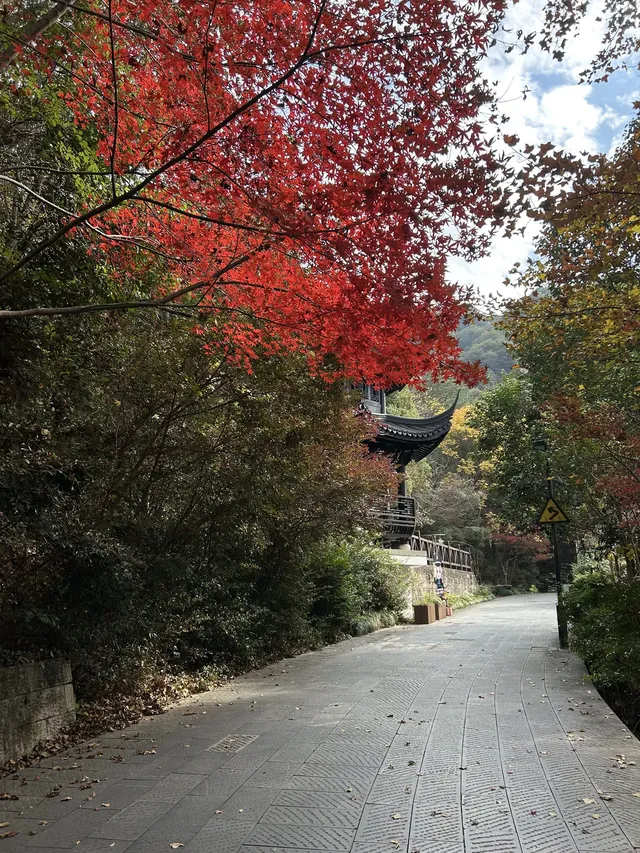 12.4西溪谷漫遊道5km徒步|路線+出片點+tips 12.4西溪谷漫遊道5km徒步|路線+出片點+tips